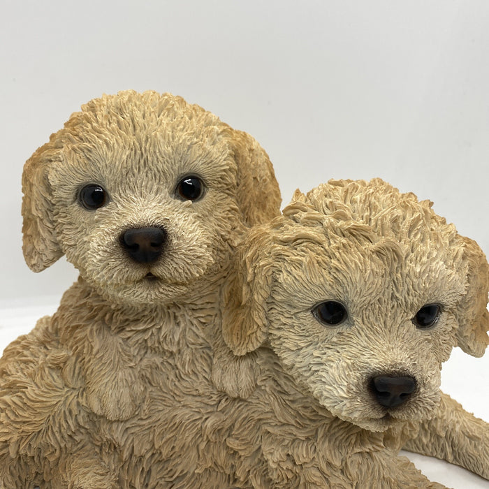 CAVOODLE STATUE CREAM PUPPY DOG ANIMAL GARDEN ORNAMENT SCULPTURE MONAY BOX