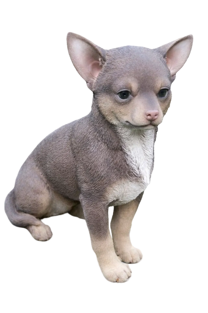 CHIHUAHUA STATUE PUPPY DOG BROWN ANIMAL GARDEN MEMORIAL ORNAMENT FIGURINE