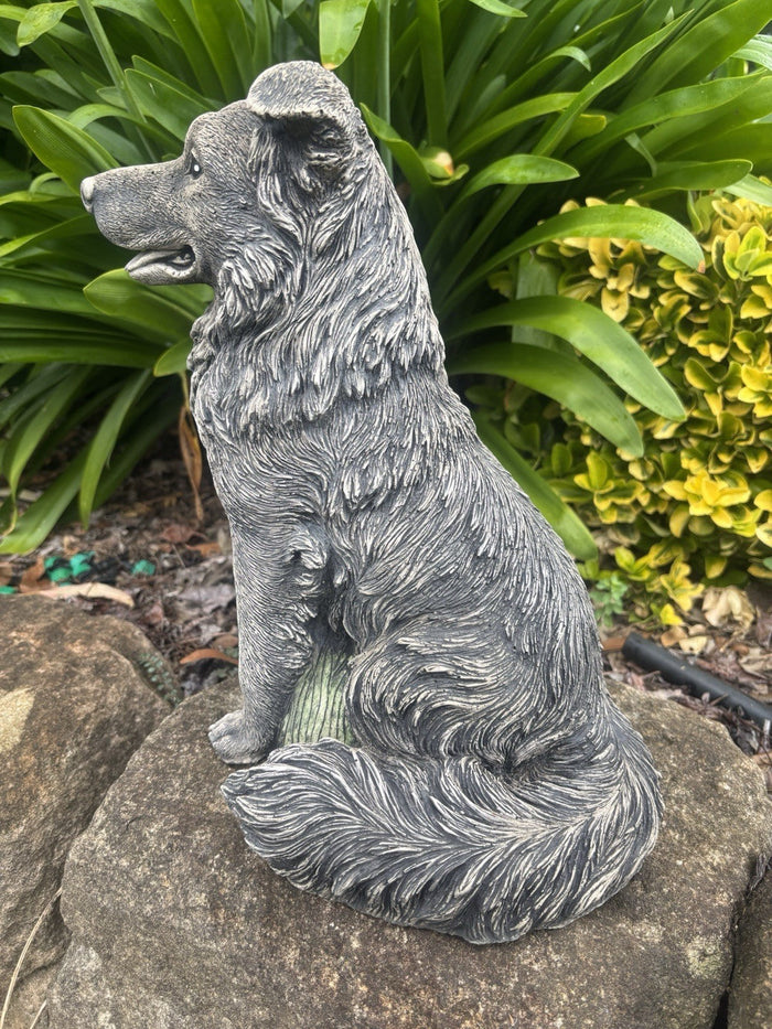 22nice4me Garden Statues sitting Border Collie dog ornament with detailed grey textured finish in a garden setting