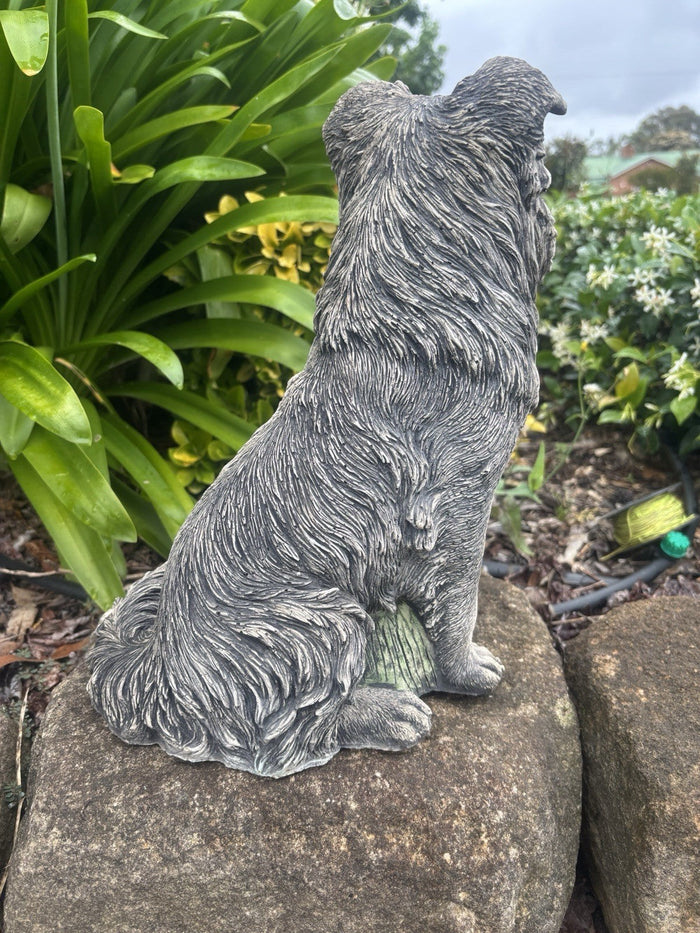 22nice4me Garden Statues sitting Border Collie dog ornament with detailed grey fur texture in a garden setting