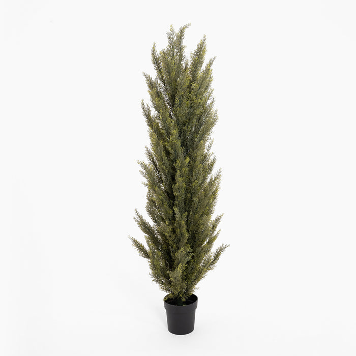 Artificial potted plant on a white background