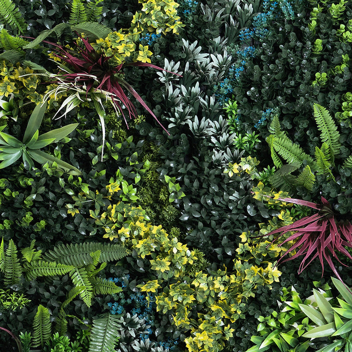 Various types of green plants arranged in a circular pattern