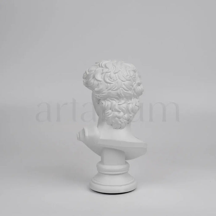 David’s Bust