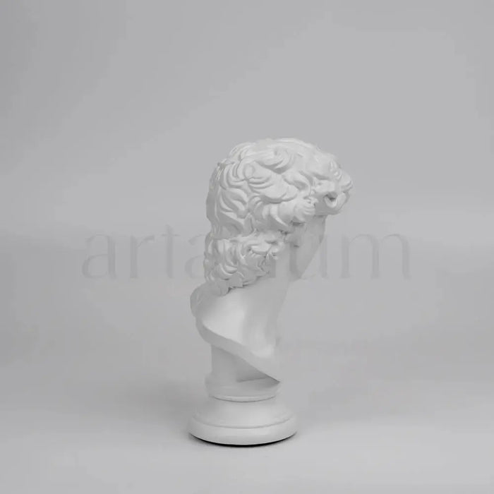 David’s Bust
