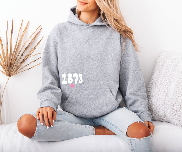 Delta Gamma Boxy Heart Pullover Hoodie - Athletic Grey