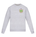 Delta Zeta lululemon Steady State Crew - Embroidered Crest