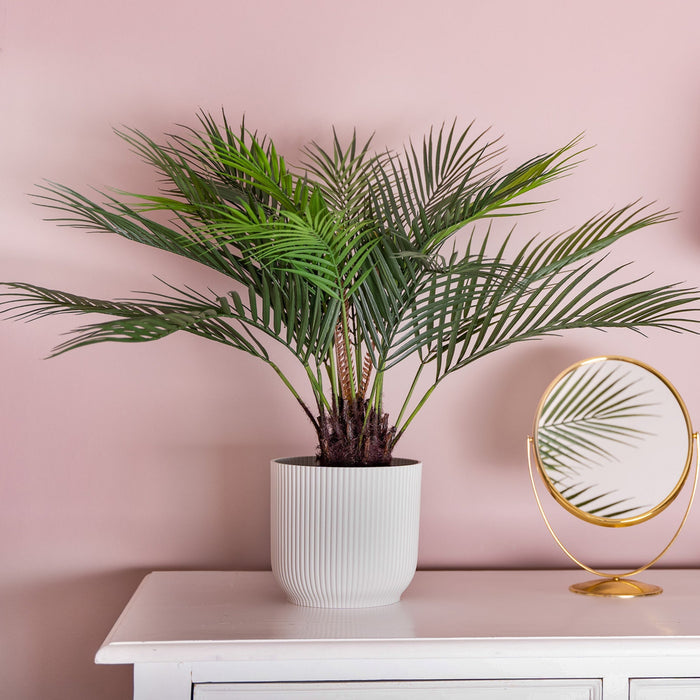 Potted plant on a white cabinet with a pink wall background
