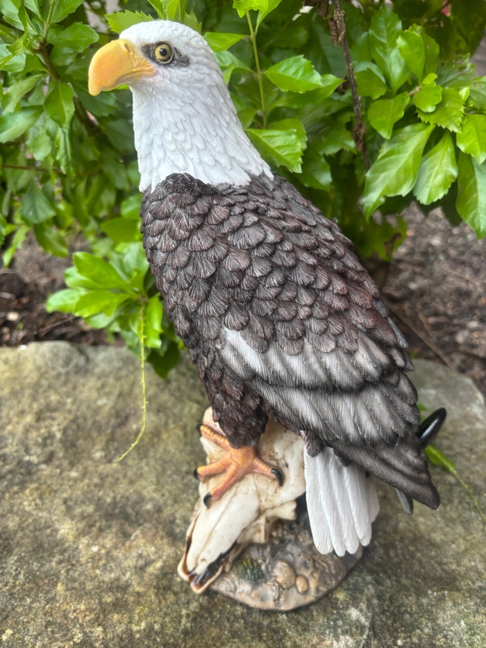 EAGLE PERCHED ON SKULL BIRD ANIMAL GARDEN STATUE ORNAMENT FIGURINE