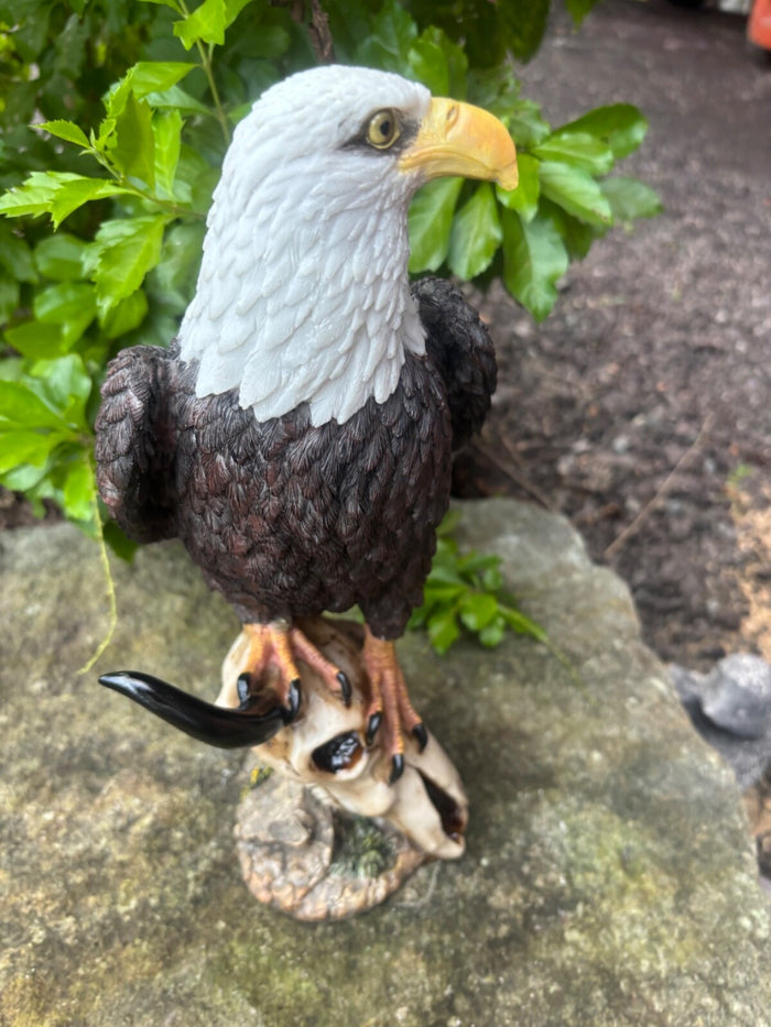 EAGLE PERCHED ON SKULL BIRD ANIMAL GARDEN STATUE ORNAMENT FIGURINE