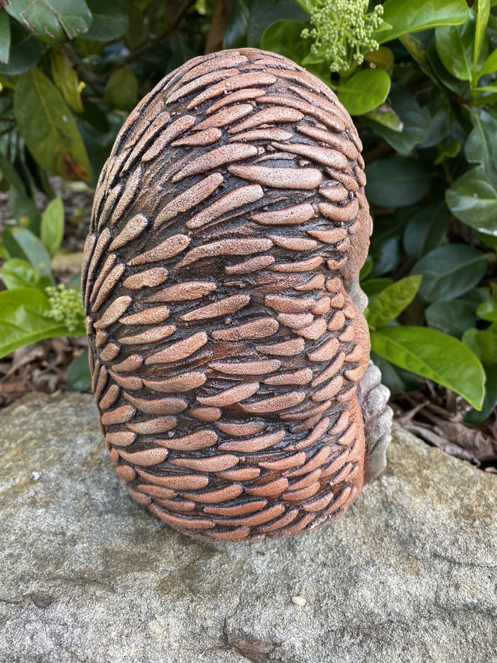 Echidna Sitting Garden Statue Ornament Animal Concrete Cement Australian Made