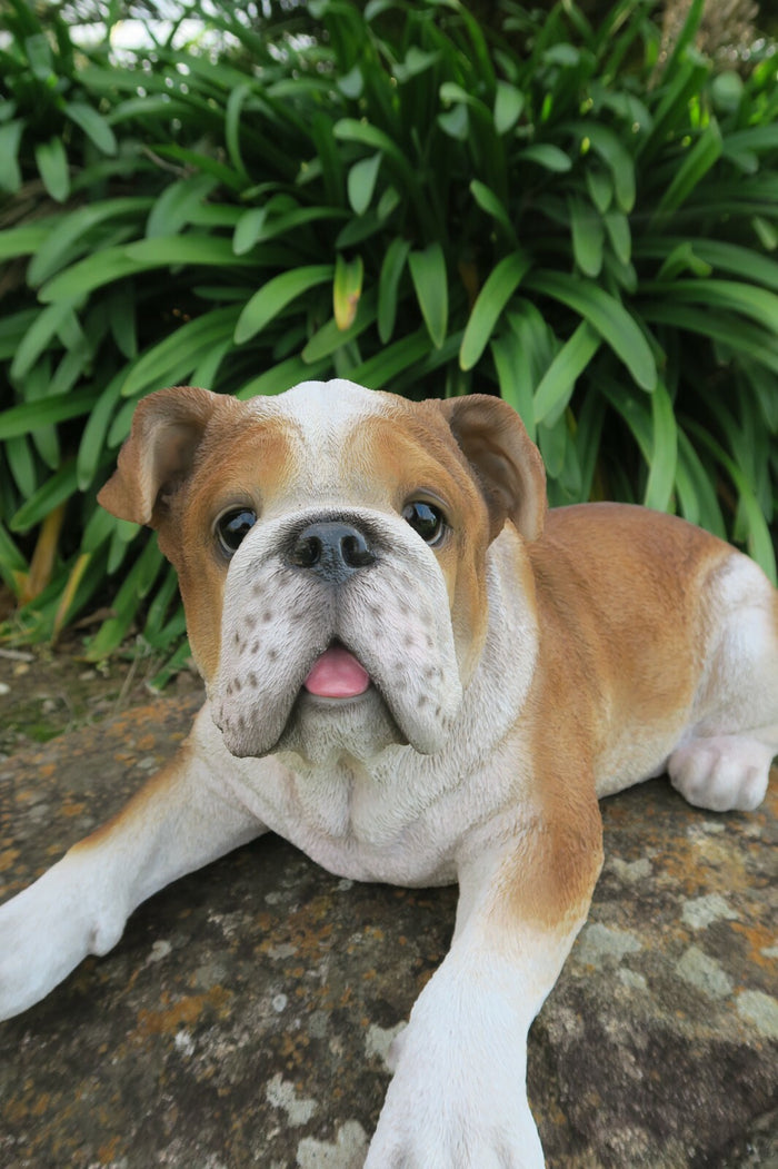 English Bulldog Statue Dog Doggy Memorial Ornament Home Decor Brown and  White