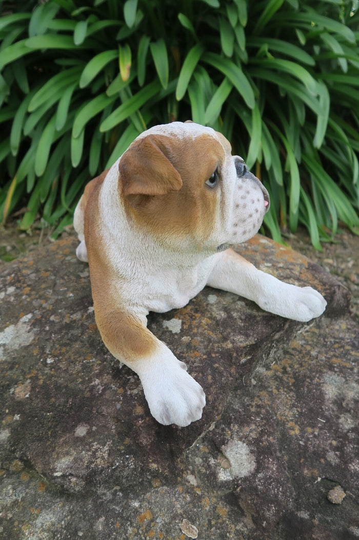 English Bulldog Statue Dog Doggy Memorial Ornament Home Decor Brown and  White
