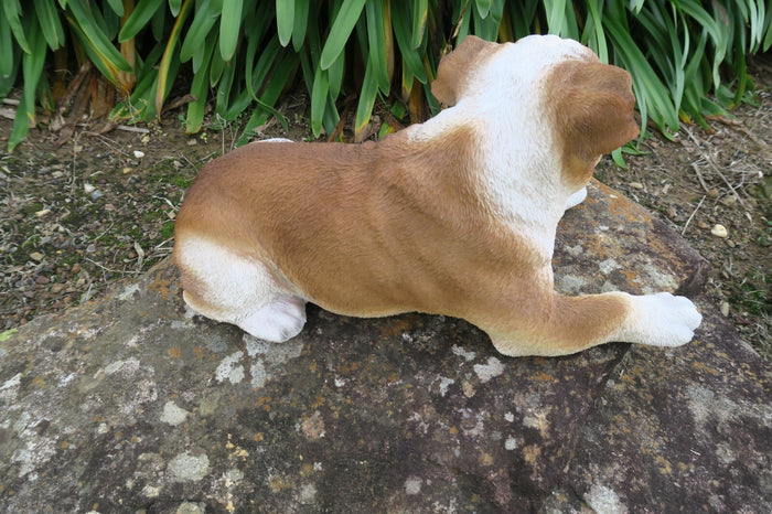 English Bulldog Statue Dog Doggy Memorial Ornament Home Decor Brown and  White