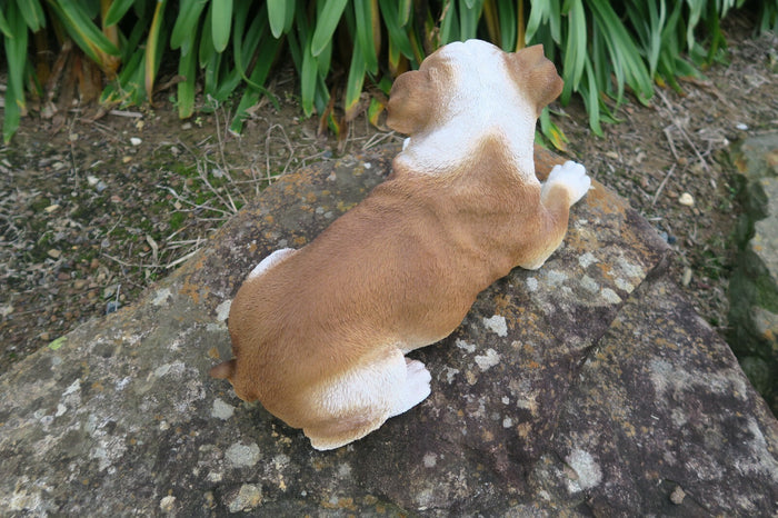 English Bulldog Statue Dog Doggy Memorial Ornament Home Decor Brown and  White