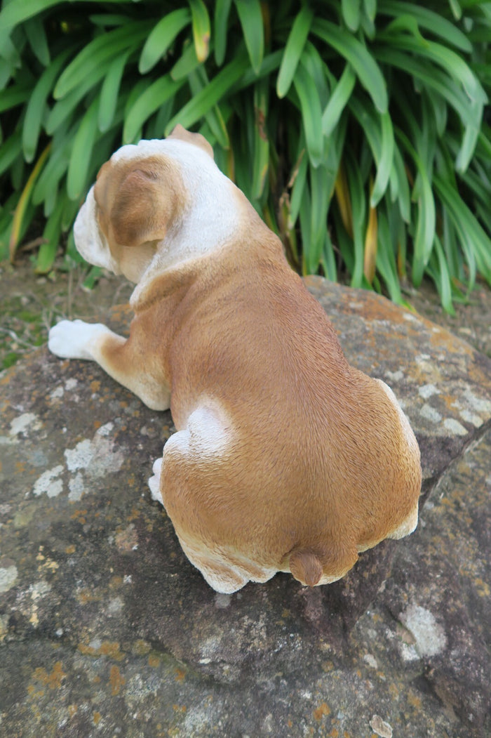 English Bulldog Statue Dog Doggy Memorial Ornament Home Decor Brown and  White