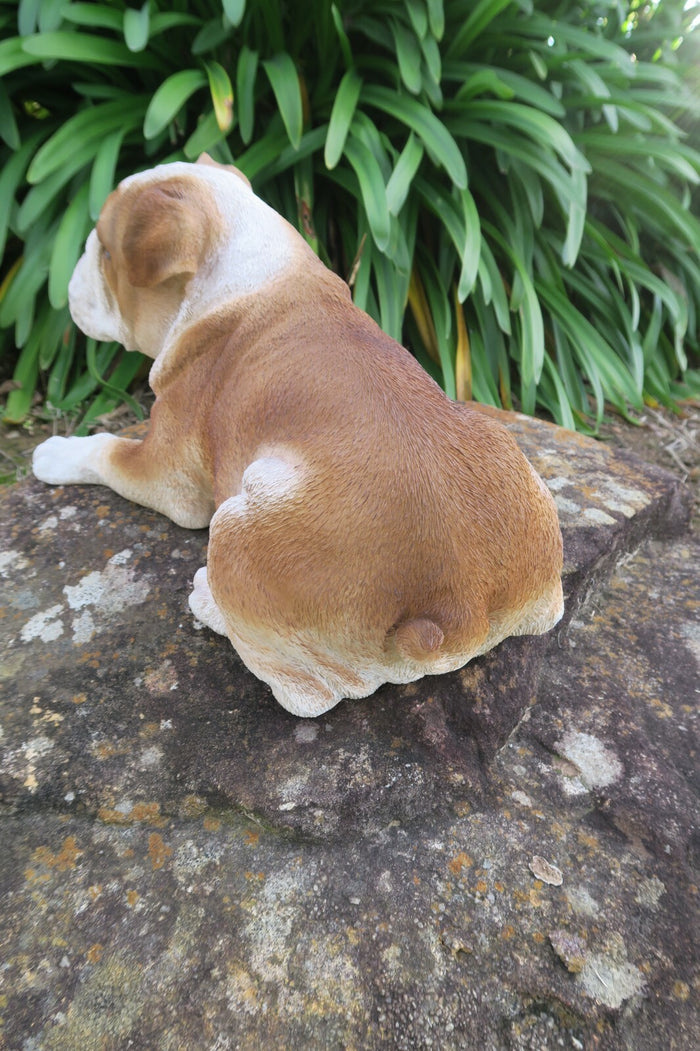 English Bulldog Statue Dog Doggy Memorial Ornament Home Decor Brown and  White