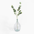Clear glass vase with eucalyptus branches on a white background