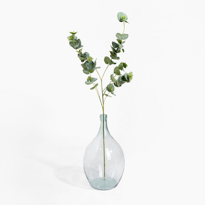 Clear glass vase with eucalyptus branches on a white background