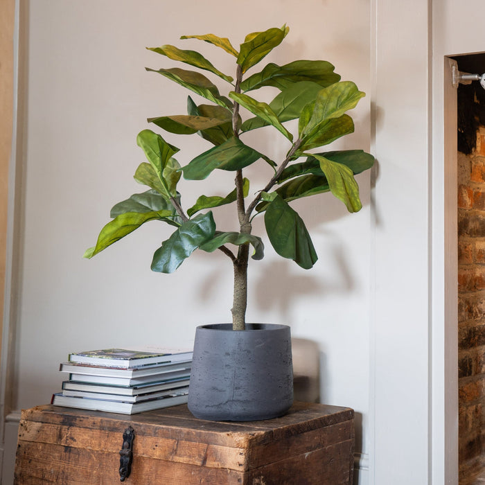 Potted plant on a wooden chest with a brick wall background