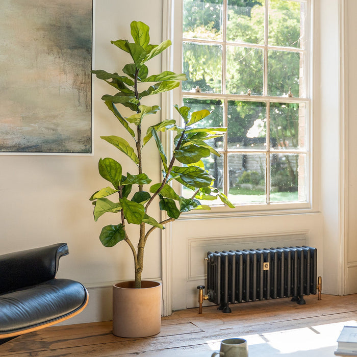 Living room with a yellow sofa, black chair, and a large window with a plant and radiator.
