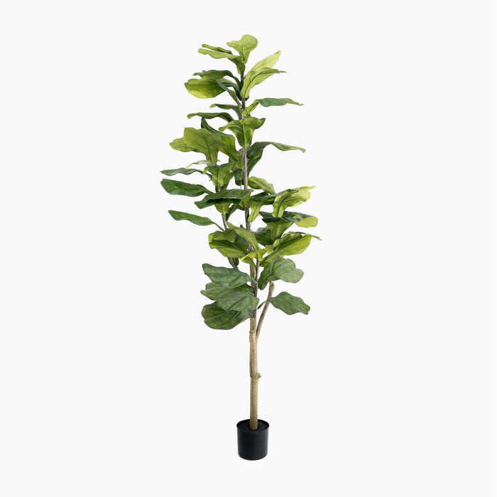 Artificial fiddle leaf fig plant in a pot on a white background