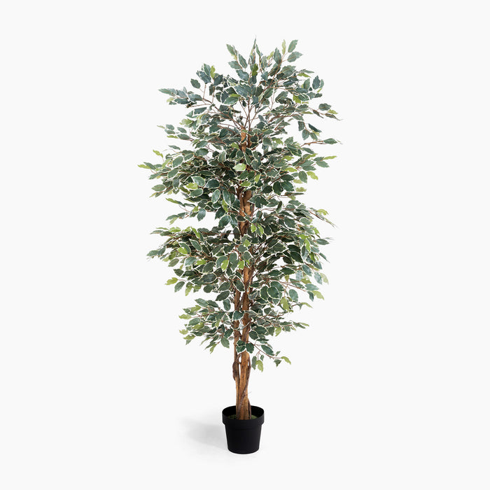 Artificial potted tree with green leaves on a white background