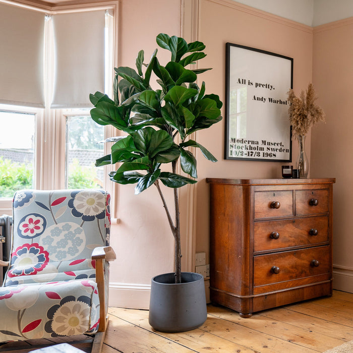 Living room with a wooden dresser, floral armchair, and potted plant.