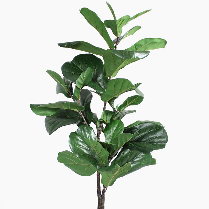 Artificial fiddle leaf fig plant on a white background