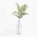 Clear glass vase with a single green fern branch on a white background