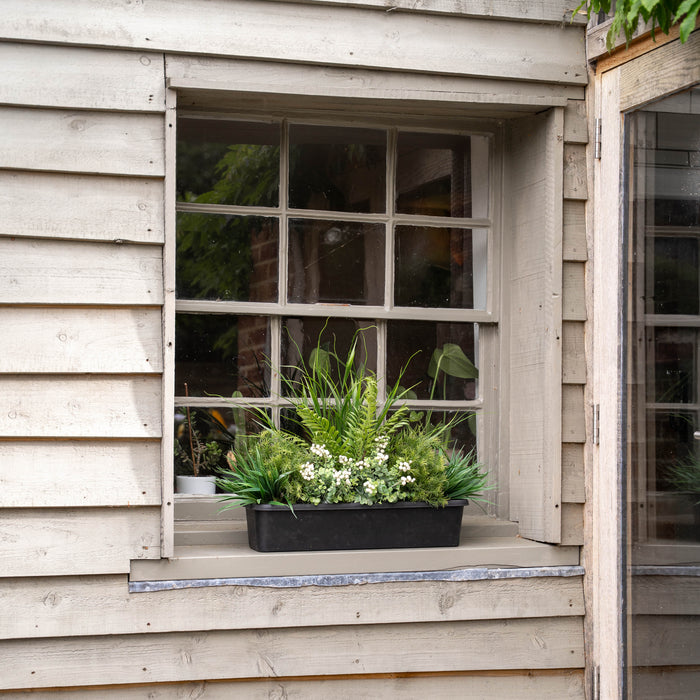 Window box full of green plants on a wooden windowsill.