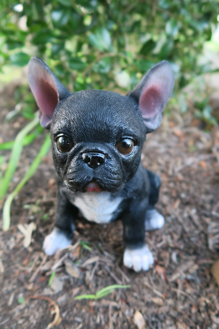 FRENCH BULLDOG SITTING DOG ANIMAL GARDEN STATUE ORNAMENT MEMORIAL BLACK