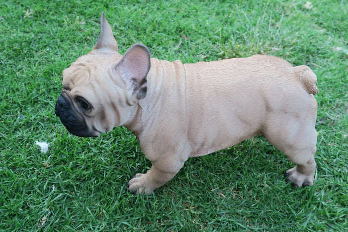 French Bulldog Statue Dog Doggy Memorial Ornament Frenchie Home Decor Brown