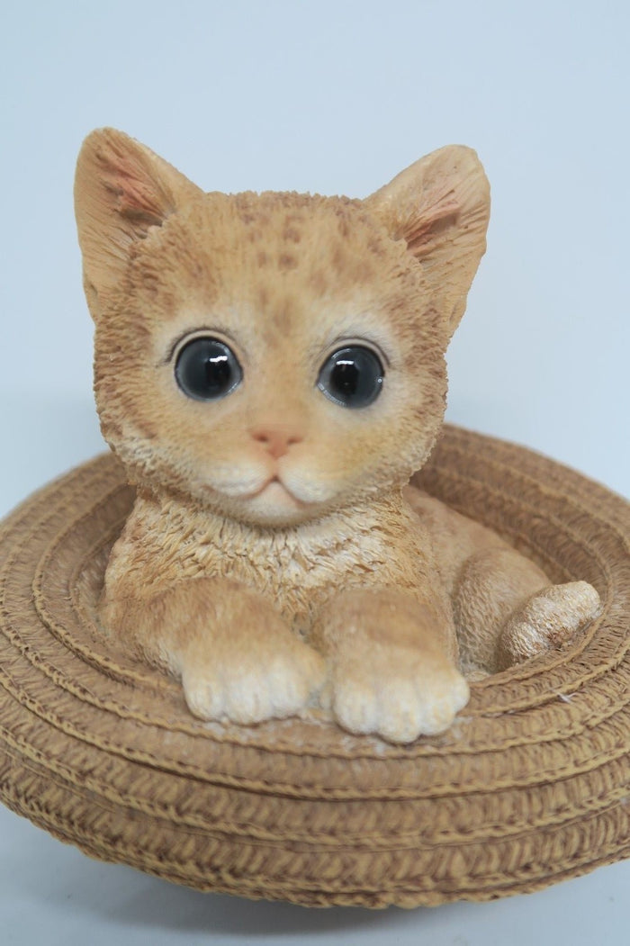 GINGER CAT IN A HAT ANIMAL GARDEN STATUE ORNAMENT FIGURINE SCULPTURE MONEY BOX