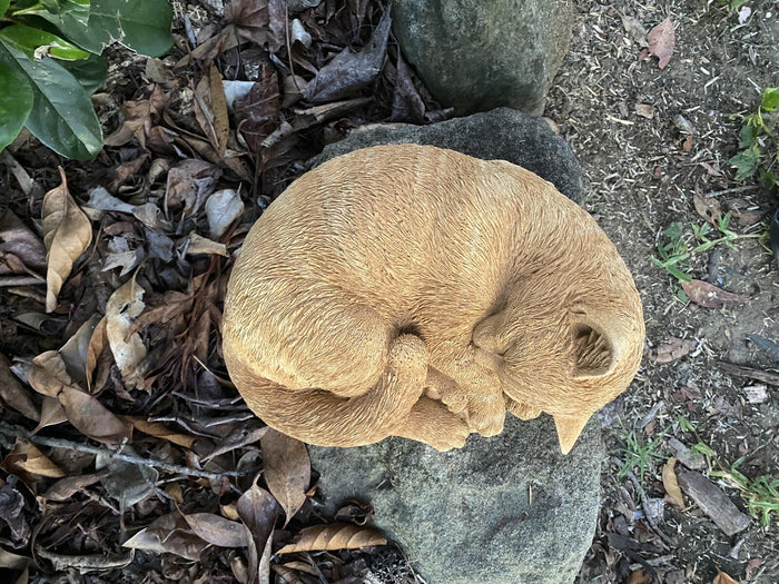 Ginger Tabby Cat Statue Memorial Sleeping Kitten Animal Concrete Australian Made