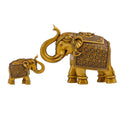 Golden Royal Elephant Bond