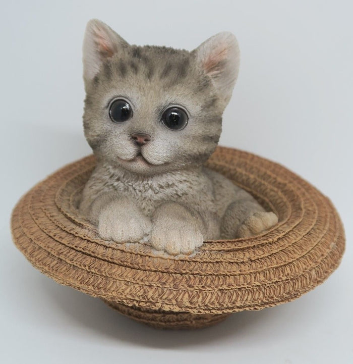 GREY TABBY CAT MEMORAIL IN A HAT MONEY BOX ANIMAL GARDEN STATUE ORNAMENT  GIFT