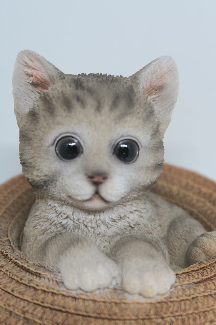 GREY TABBY CAT MEMORAIL IN A HAT MONEY BOX ANIMAL GARDEN STATUE ORNAMENT  GIFT