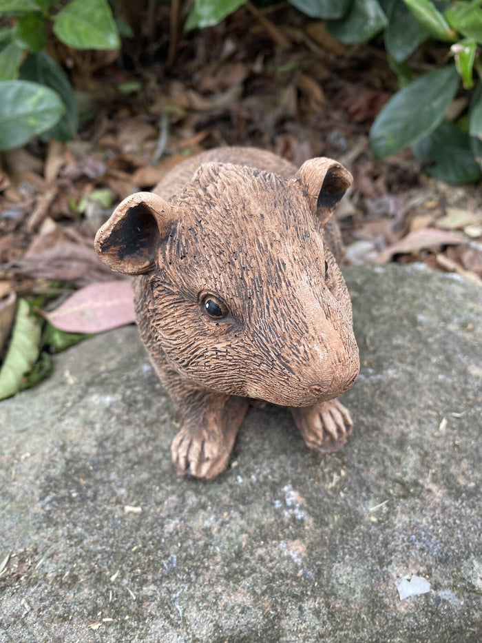 Guinea Pig Statue Ornament Farm Animal Concrete Garden Australian Made Brown