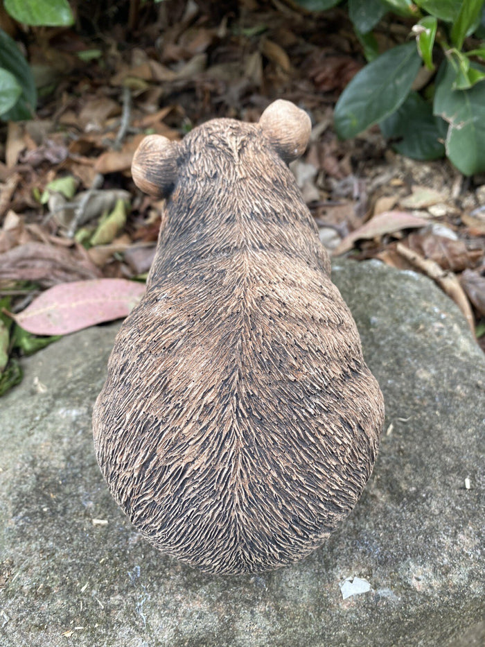 Guinea Pig Statue Ornament Farm Animal Concrete Garden Australian Made Brown