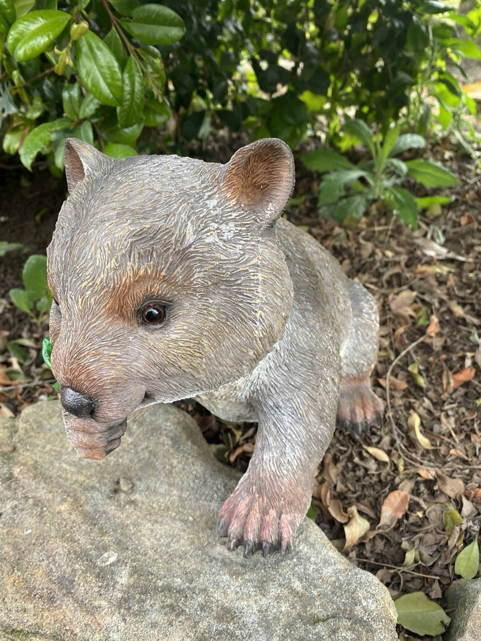 22nice4me Garden Statues hand painted resin wombat ornament with realistic brown and grey fur eating a green leaf