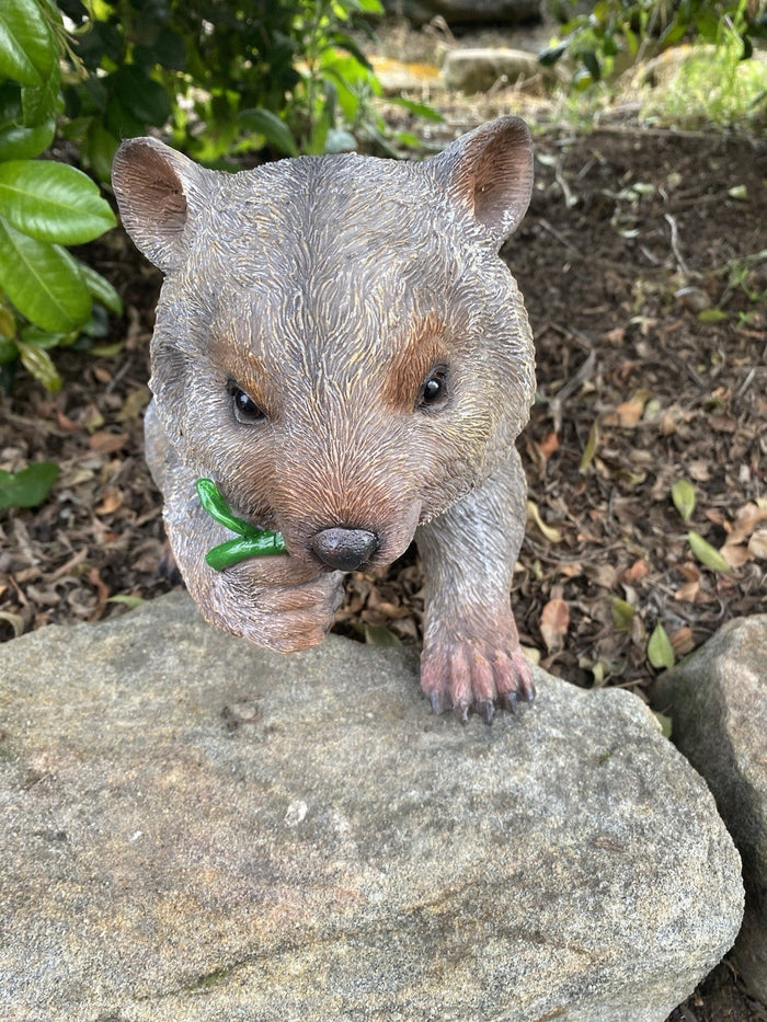 22nice4me Garden Statues hand painted resin wombat ornament eating a green leaf on a rock in a garden setting