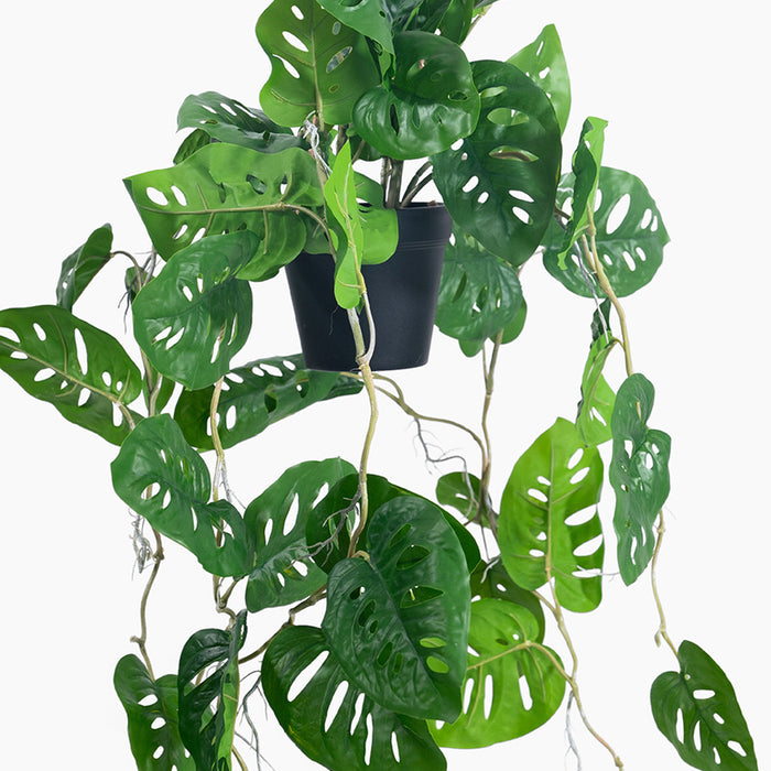 Artificial hanging monkey monstera foliage