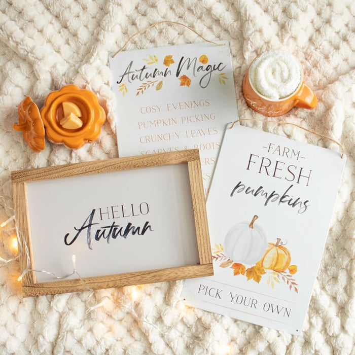 Hello Autumn Wooden Frame Sign