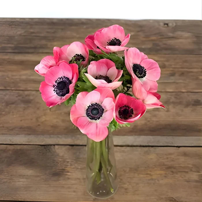 Hot Pink Fresh Cut Anemones