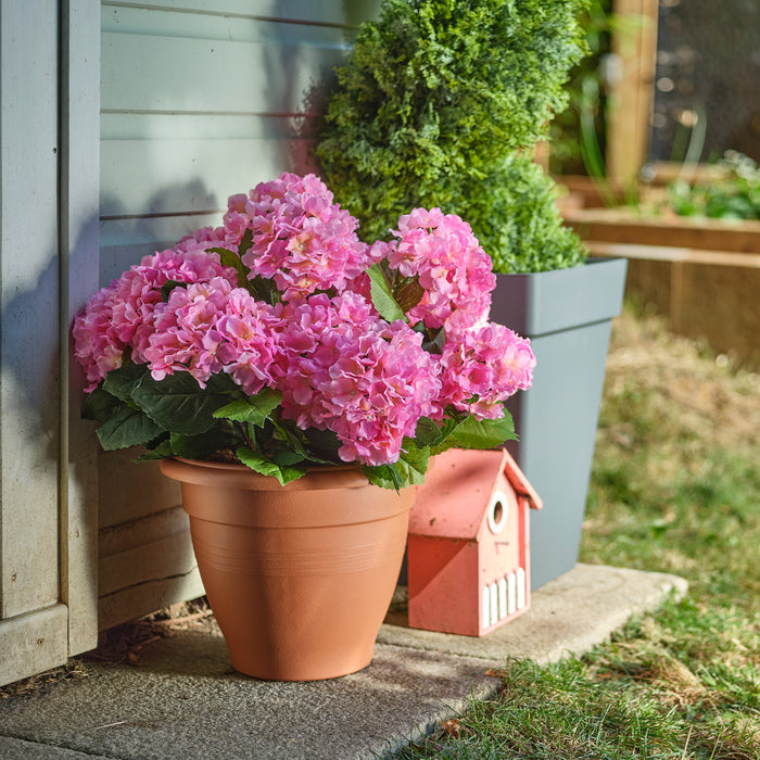 Hydrangea patio planter