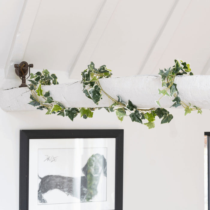 Framed artwork on a white wall with green ivy garland