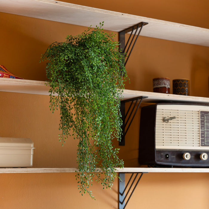 Vintage radio on a shelf with a hanging plant against an orange wall
