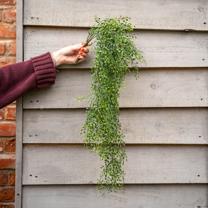 Person hanging a green plant against a wooden fence