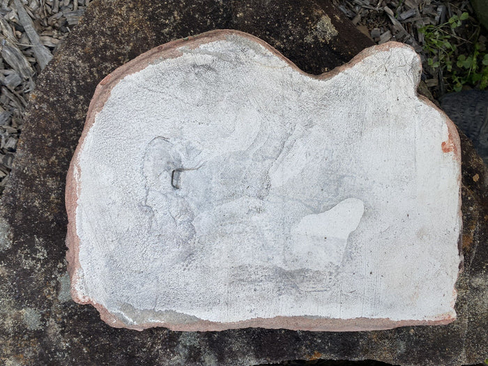 Koala Branch Wall Plaque Garden Statue Ornament Animal Concrete Australian Made