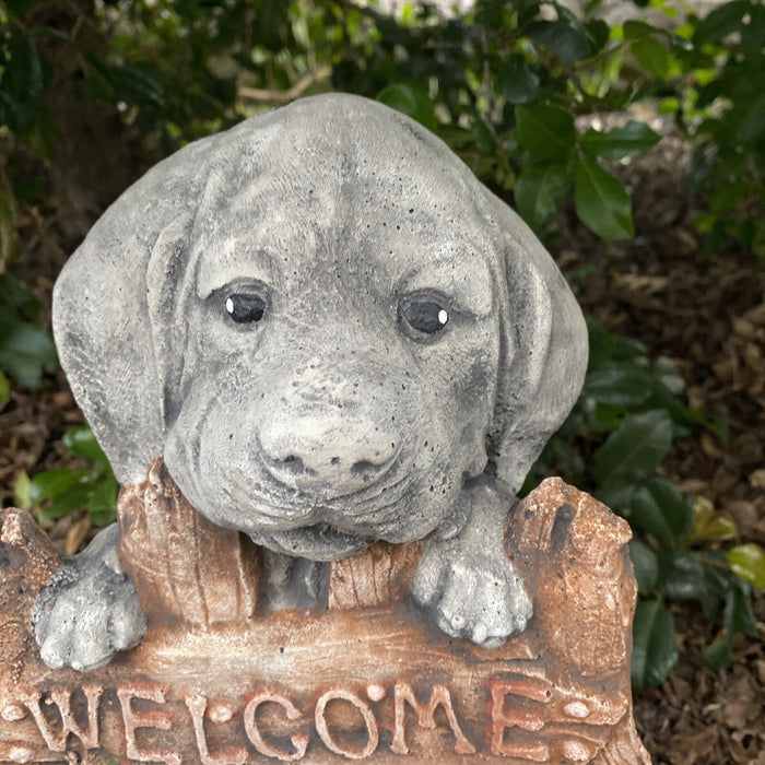 Close up detail of concrete labrador garden statue textured cement finish